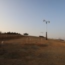 무궁화금호 이미지