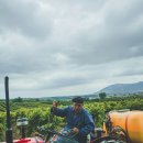 광주전남행정사사무소 이미지