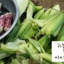 선화농장 이미지