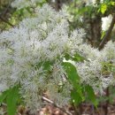 도계2리 이미지