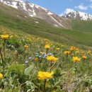 (주)오월에숲 이미지