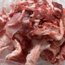 탄탄대로 | 석쇠불고기 잘하는 하이원스키장 주변 고한 추천 맛집 탄탄대로 식사 후기