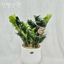 진명주유소 이미지