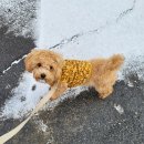 진서동물병원 이미지