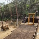 숲속공원놀이터 이미지