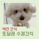 체리애견 | 강아지 소화 잘되는 애견수제간식 또달래