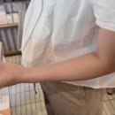 원리틀띵 | 여름날 연희동 나들이(브런치,카페,소품샵,디저트)