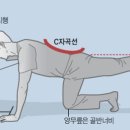 남천토즈의원