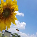 하늘바람 메디칼 이미지