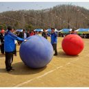 세성초 이미지