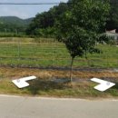 금맥부동산공인중개사사무소 이미지