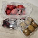 순천 과일가게 순천 과일배달 왕지동 과수원