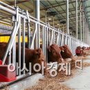 정남진장흥한우육종단지 이미지
