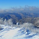 강원관광대우1 이미지