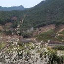 파전에막걸리한잔 이미지