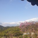 [추천장소] 경북 영주 부석사 배흘림기둥 유네스코 세계문화유산