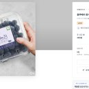 블루베리디자인 이미지