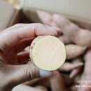 춘자농장 이미지