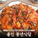 풍년회관 | 용인 풍년식당 아침식사가능 에버랜드맛집추천 제육볶음 내돈내산 후기