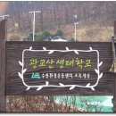 광교산생태학교 Daum카페