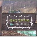 수원 광교산(528m) 나 홀로 우중산행의 흔적과 후기 [2008.03.29] 이미지