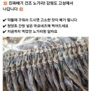 강원도 고성 진짜배기 건조 노가리 이미지