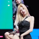 사르르
