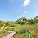 푸른산수목원 이미지