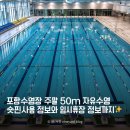 홈플러스(주) 포항점 | 포항수영장 주말자유수영후기 오리발 가능한 50M레인 수영장 🏊‍♀️