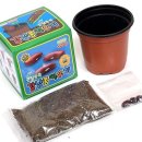 헤일스톤 이미지