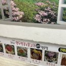 대구 동성로 로컬맛집ㅣ동성로 알만두 전골 점심 추천