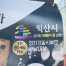 연어판다 이미지