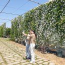 거제시농업개발원 이미지