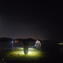 태안-안면-비상-9 | 서해 태안 안면도 꽃게 해루질 여행 안면해수욕장 물때 출동