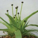 곡정초등학교 이미지