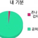 솔페