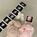[임신일기 #13] 28-29주차 휴직시작, 만삭촬영, 부산태교여행, 임산부 화장품 추천, 체중관리&amp;역아이슈...