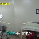 이가꽈배기 이미지