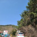 갈망개 민박 이미지