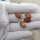 구름다리농장 이미지