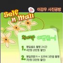 이강우사진공방