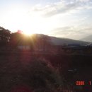 별밭에서 이미지