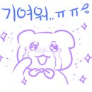 다온애견미용 이미지