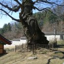 장영훈 행정사 사무소 이미지