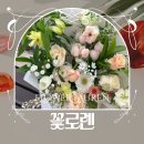꽃로렌 이미지