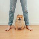 24시청주나음동물메디컬