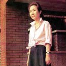 시네텔 이미지