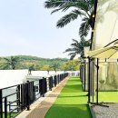 일품태양광발전소 이미지