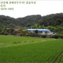 산호동198 이미지