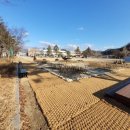 행복한 꿈을 꾸는  이미지